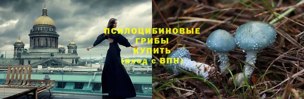 хмурый Алзамай