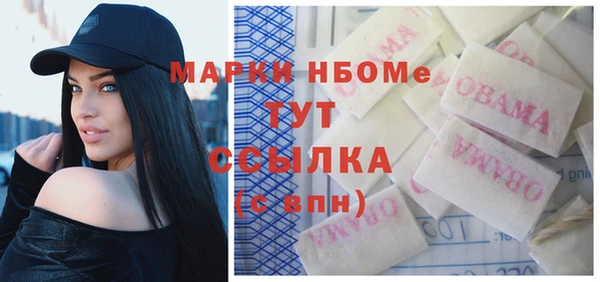 хмурый Алзамай